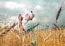 The farmer lives by hanging in Bilsnda